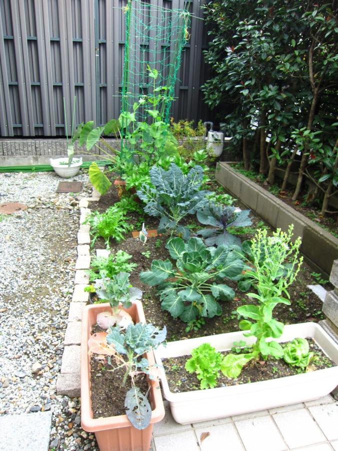 Kyo-No-Sato 京の里 Apartment Kyoto Ngoại thất bức ảnh